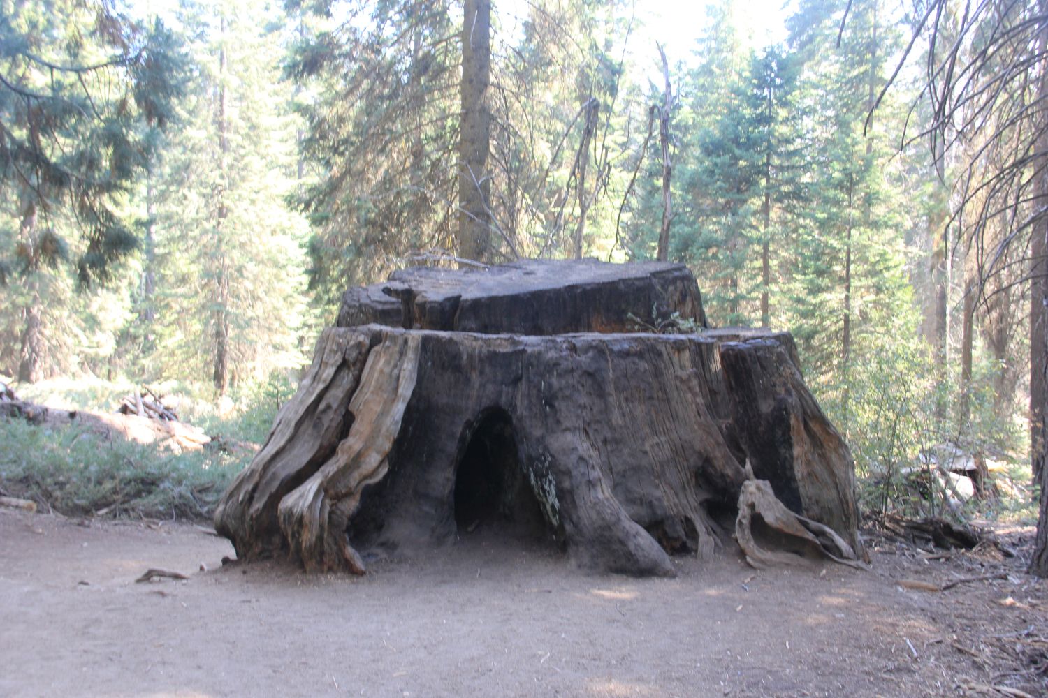 Big Stump Hike 